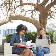 Work Together - Office 365 Enterprise